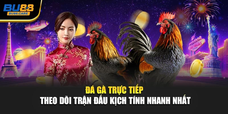 Đá Gà Trực Tiếp – Theo Dõi Trận Đấu Kịch Tính Nhanh Nhất