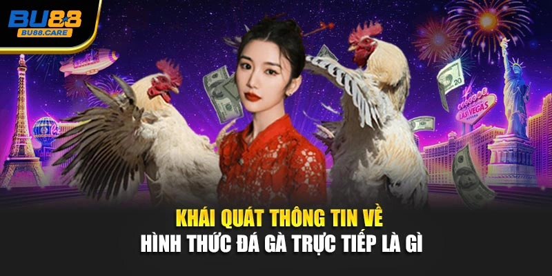 Khái quát thông tin về hình thức đá gà trực tiếp là gì