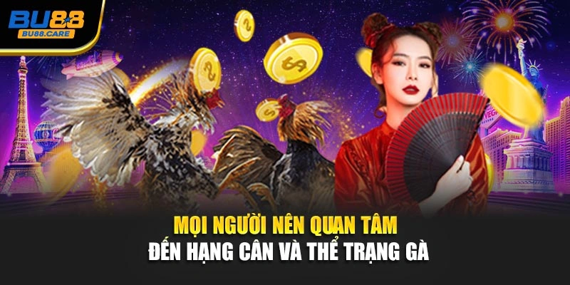 Mọi người nên quan tâm đến hạng cân và thể trạng gà