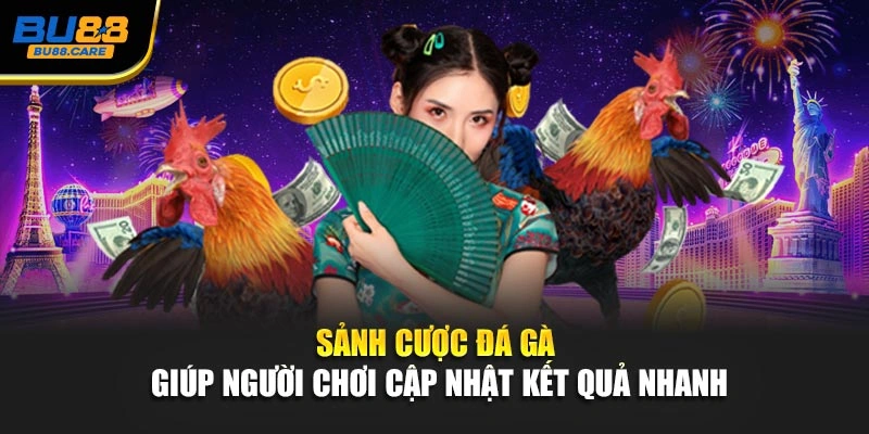 Sảnh cược đá gà giúp người chơi cập nhật kết quả nhanh