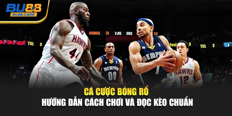 Cá Cược Bóng Rổ - Hướng Dẫn Cách Chơi Và Đọc Kèo Chuẩn