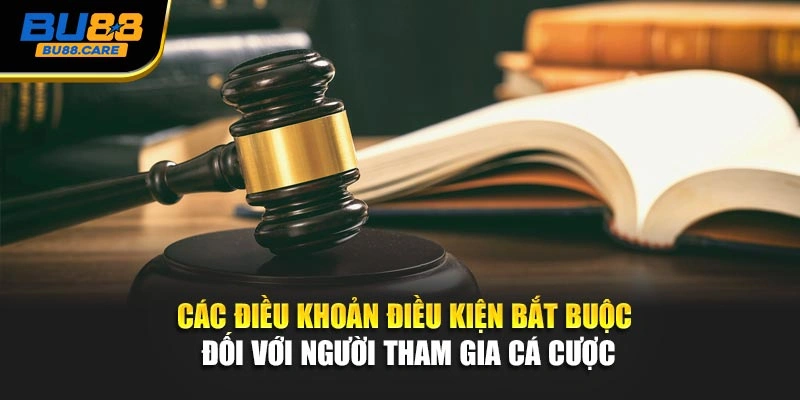 Các điều khoản điều kiện bắt buộc đối với người tham gia cá cược