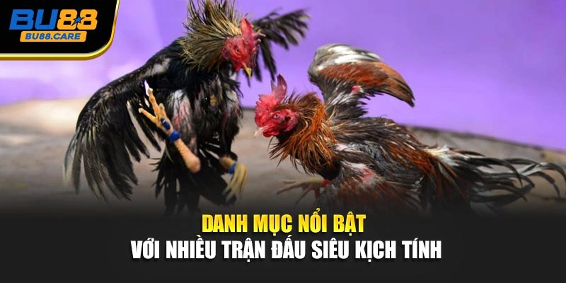 Danh mục nổi bật với nhiều trận đấu siêu kịch tính