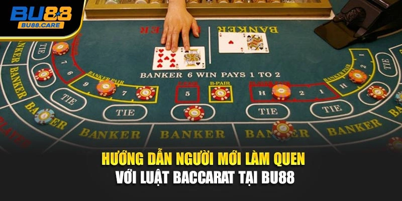 Hướng dẫn người mới làm quen với luật Baccarat tại BU88