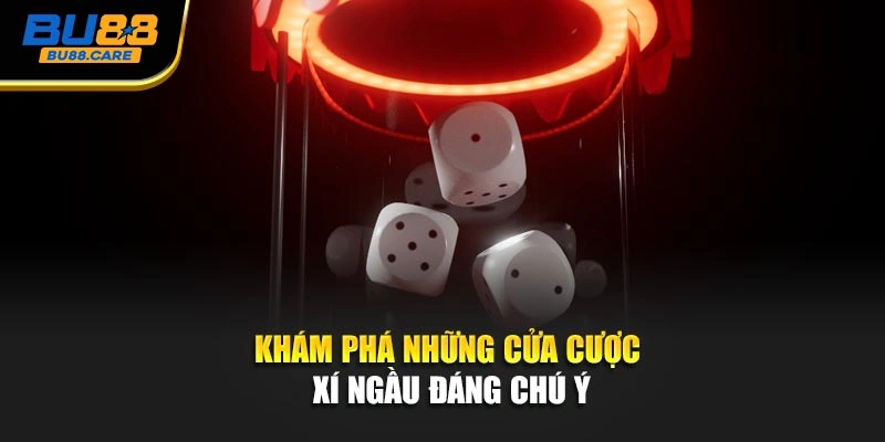 Khám phá những cửa cược xí ngầu đáng chú ý
