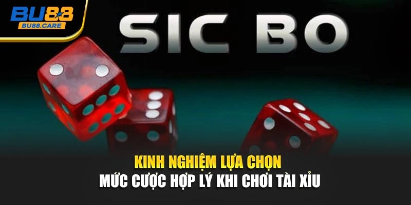 Kinh nghiệm lựa chọn mức cược hợp lý khi chơi tài xỉu