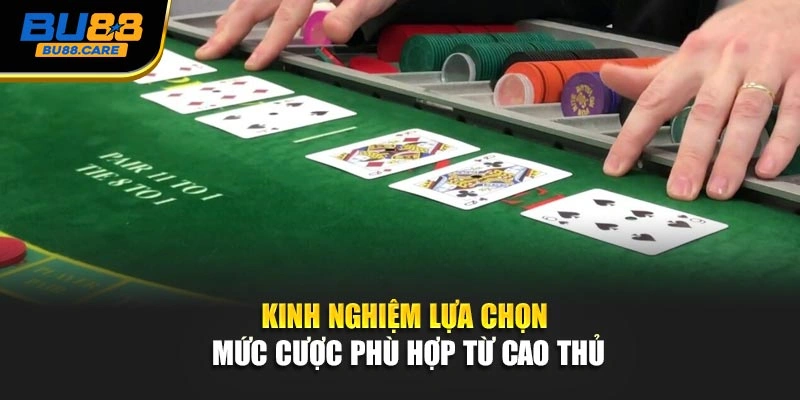 Kinh nghiệm lựa chọn mức cược phù hợp từ cao thủ