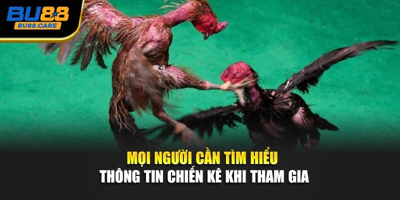 Mọi người cần tìm hiểu thông tin chiến kê khi tham gia