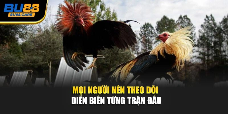 Mọi người nên theo dõi diễn biến từng trận đấu