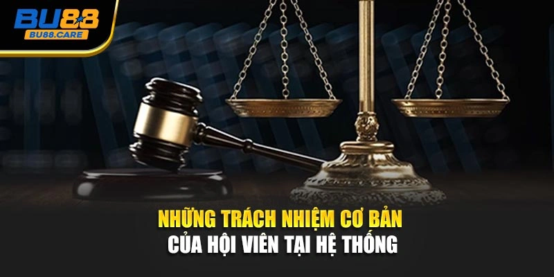 Những trách nhiệm cơ bản của hội viên tại hệ thống
